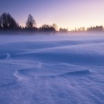 Snow Covered Field With Trees In Background