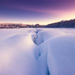 Snow Covered Field With Trees In Background