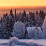 Snow Covered Field With Trees And House