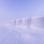 Snow-Covered Haybales In A Winter Landscape