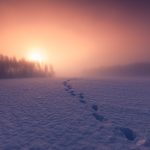 Snow Trail With Distant Sun