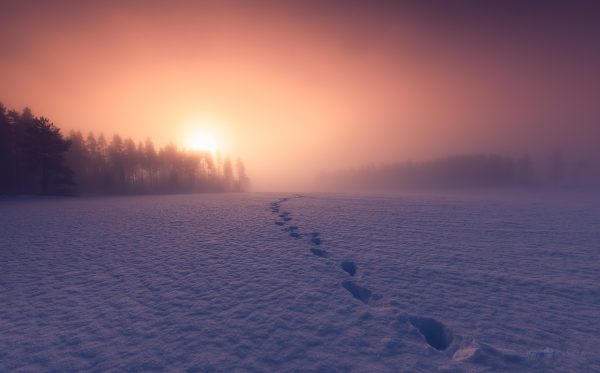 Snow Trail With Distant Sun