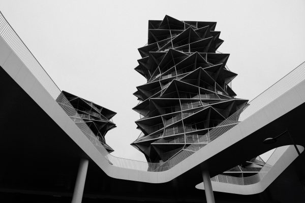 Spiky Kaktus Towers Majesty