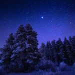Starry Night Sky Over Forest