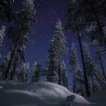 Stars Twinkle Above Snow Covered Forest