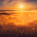 Sun Setting Over Foggy Forest