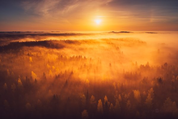 Sun Setting Over Foggy Forest
