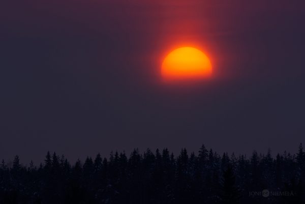 Sun Setting Over Forest