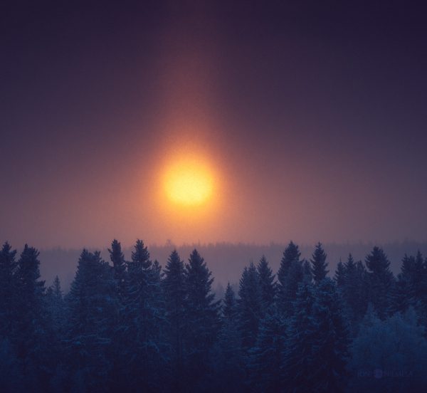 Sun Setting Over Trees In Snowfall