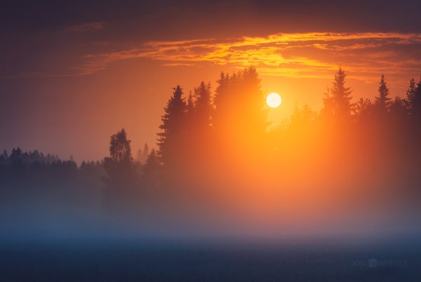 Sun Setting Over Trees On A Foggy Day