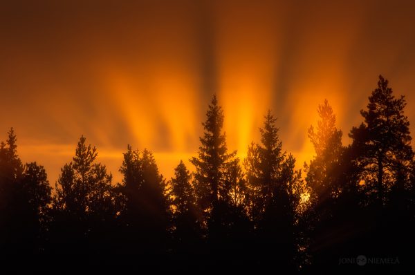 Sun Shining Through Clouds Over Trees
