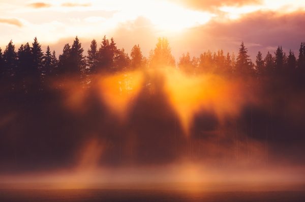 Sun Shining Through Clouds Over Trees
