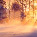 Sunlight Filtering Through Snow-Covered Trees