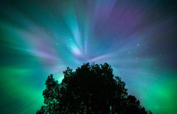 The Aurora Borealis Illuminates The Night Sky