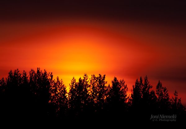 The Sun Sets Over The Distant Trees