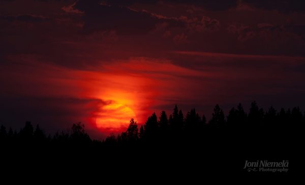 The Sun Setting Over The Trees