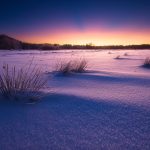 Tranquil Winter Sunset Over A Snow-Covered Landscape With Sparse Vegetation