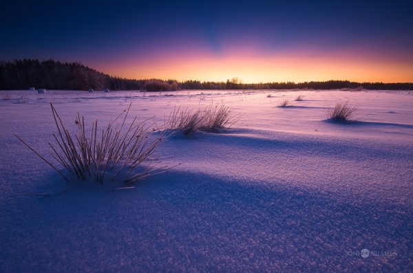 Tranquil Winter Sunset Over A Snow-Covered Landscape With Sparse Vegetation