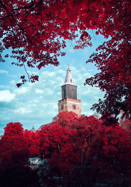 Turku Cathedral Amidst Crimson Foliage