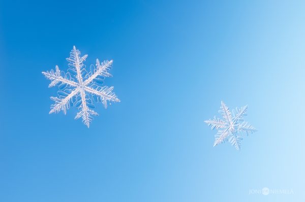 Two Snowflakes Floating Against A Blue Sky
