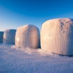 Winter Dawn Over Snow-Covered Hay Bales In A Nordic Field