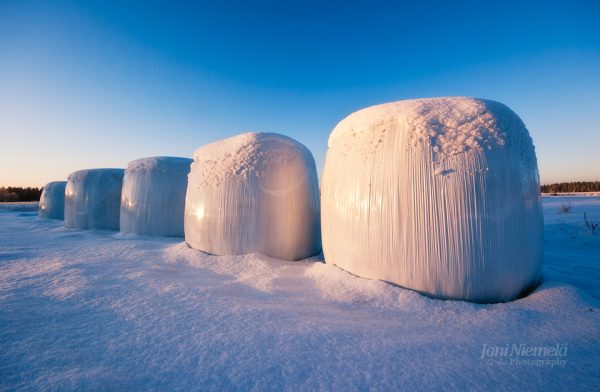 Winter Dawn Over Snow-Covered Hay Bales In A Nordic Field