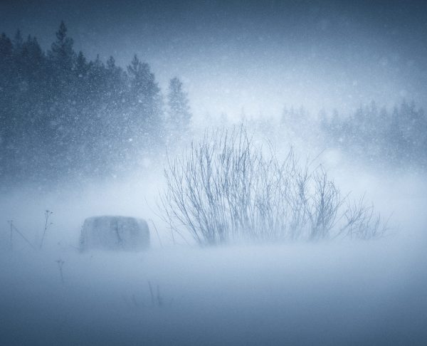 Winter’s Embrace In Finland