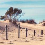 Yyteri Beach Tranquil Pathway