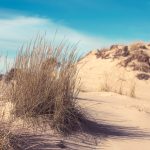 Yyteri Dunes Serene Beauty